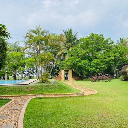 Dampe Resort พิลิยันเดเล ภายนอก รูปภาพ